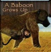Cover of A Baboon Grows Up (Wild Animals)