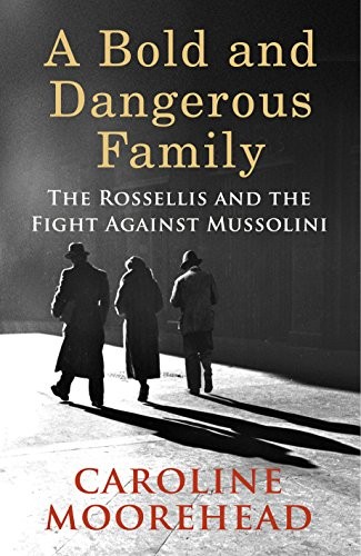 Cover of A bold and dangerous family