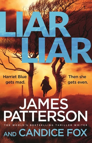 Cover of Liar, liar