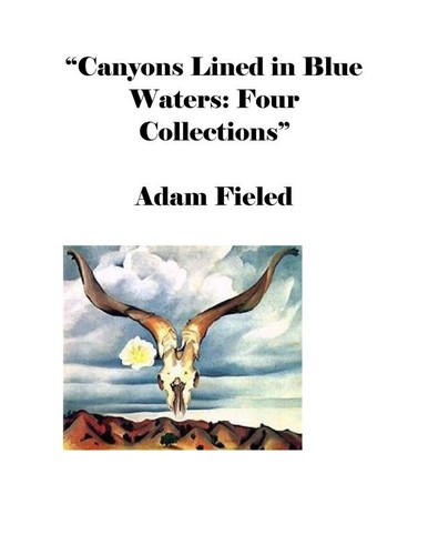 Cover of Canyons Lined in Blue Waters