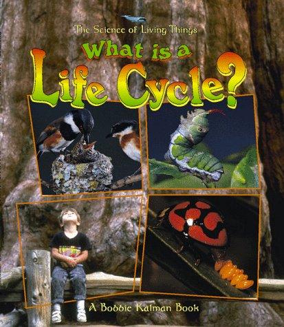 Cover of What is a life cycle?
