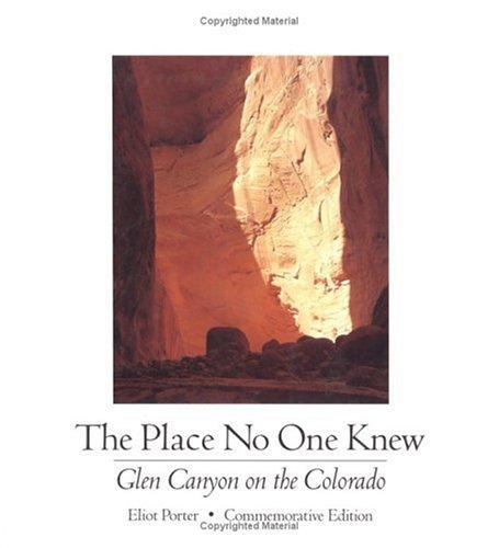 Cover of The place no one knew