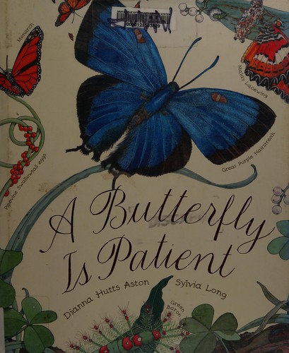 Cover of A Butterfly Is Patient