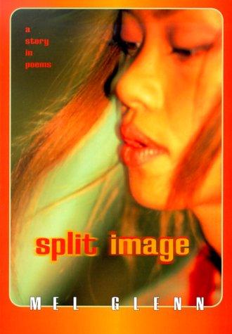 Cover of Split Image