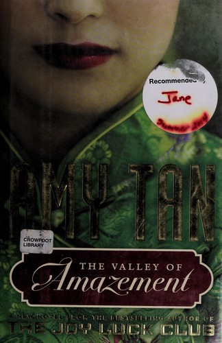 Cover of The valley of amazement
