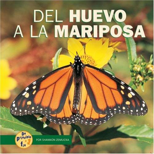 Cover of From Egg to Butterfly