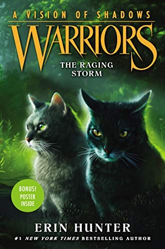 Cover of The Raging Storm