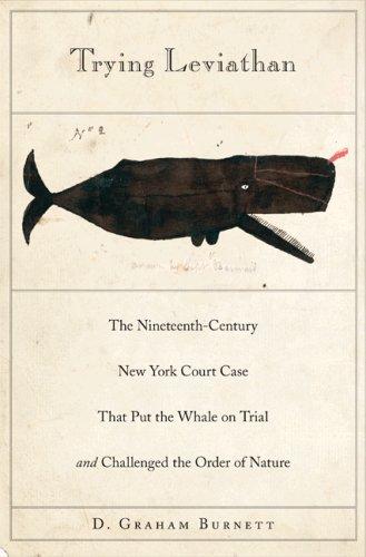 Cover of Trying Leviathan