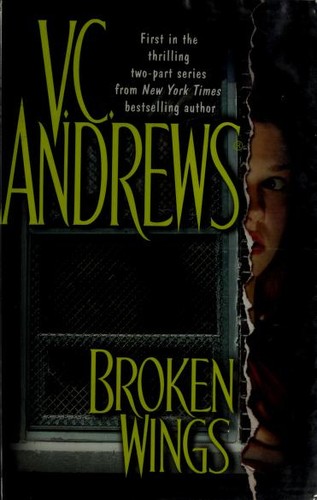 Cover of Broken Wings