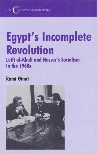 Cover of Egypt's incomplete revolution