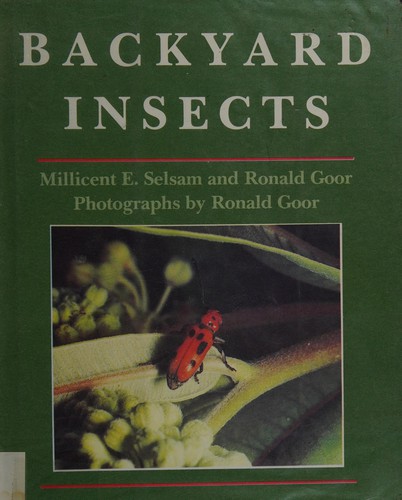 Cover of Backyard insects