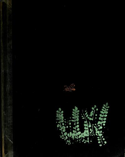 Cover of A Firefly Named Torchy