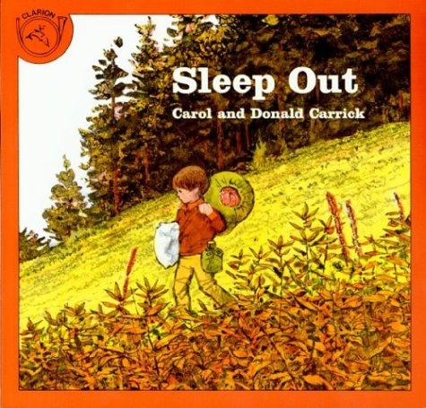 Cover of Sleep out