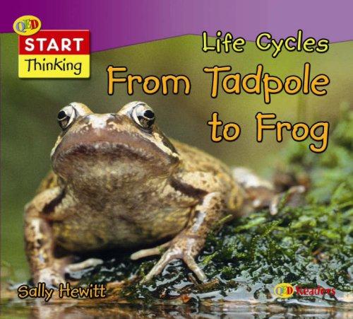 Cover of From Tadpole to Frog