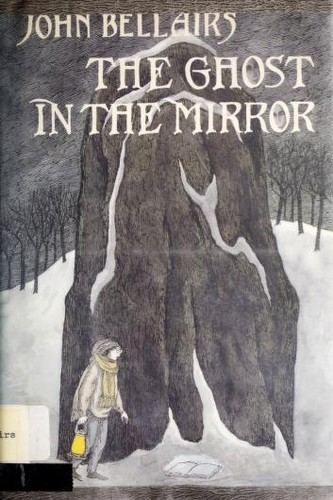 Cover of The Ghost in the Mirror