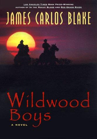 Cover of Wildwood boys