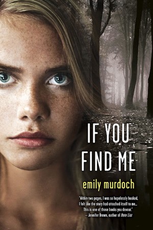 Cover of If You Find Me