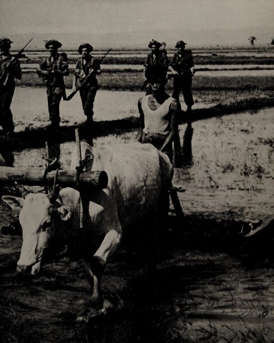Cover of China - Burma - India (Time-Life's World War II, Vol. 9)