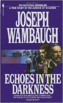 Cover of Echoes in the darkness