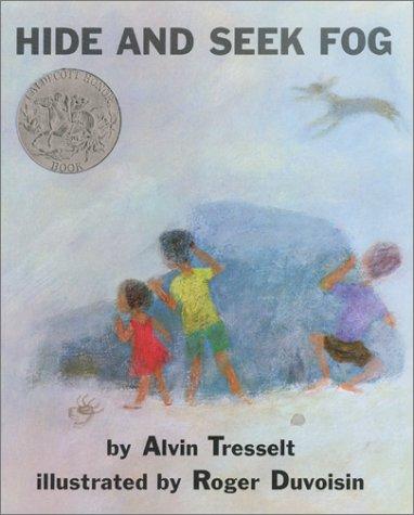 Cover of Hide and Seek Fog