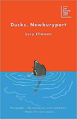 Cover of Ducks, Newburyport