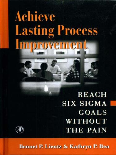 Cover of Achieve Lasting Process Improvement