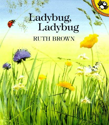 Cover of Ladybug, Ladybug