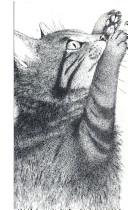 Cover of Felis, Felis