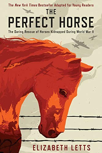Cover of The perfect horse