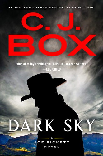 Cover of Dark Sky