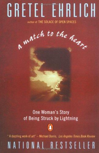 Cover of A match to the heart
