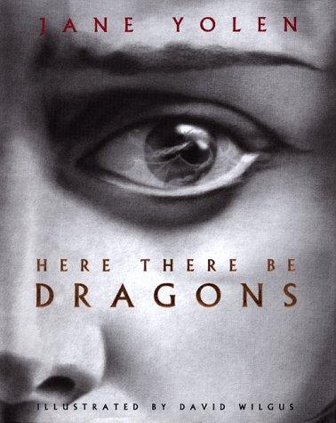 Cover of Here There Be Dragons