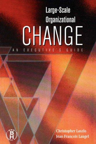 Cover of Large scale organizational change