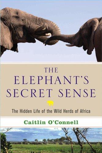 Cover of The Elephant's Secret Sense