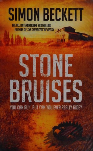 Cover of Stone Bruises