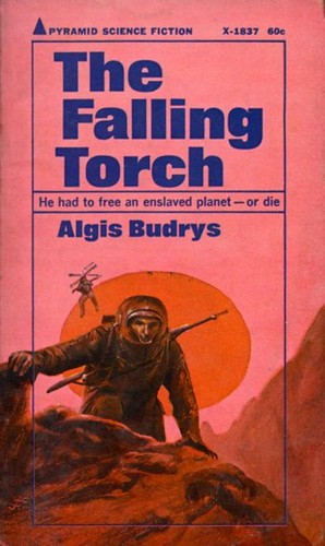 Cover of The Falling Torch