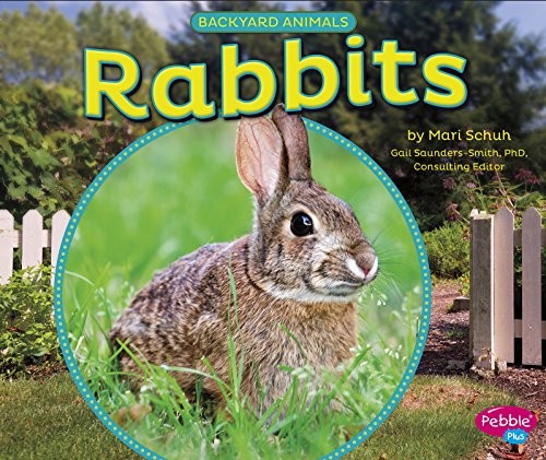 Cover of Rabbits