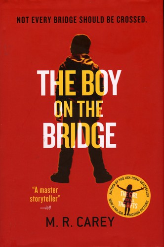 Cover of The boy on the bridge
