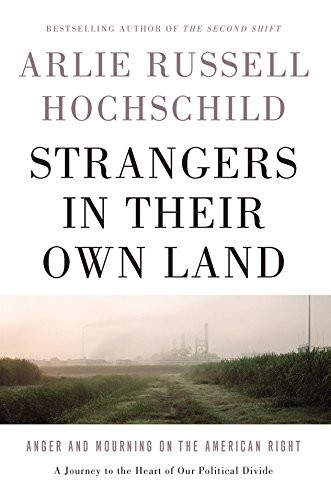Cover of Strangers in their own land