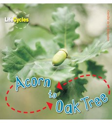 Cover of Acorn to Oak Tree