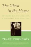 Cover of The ghost in the house