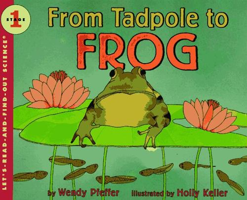 Cover of From Tadpole to Frog