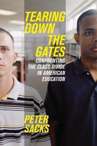 Cover of Tearing Down the Gates