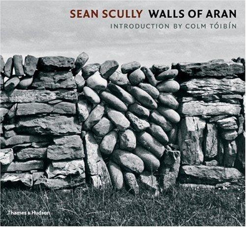 Cover of Sean Scully