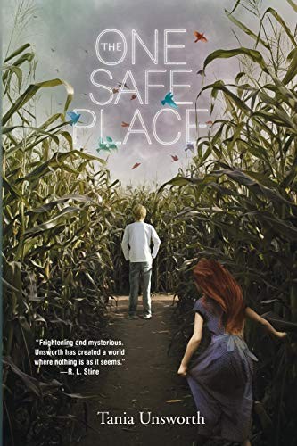 Cover of One Safe Place
