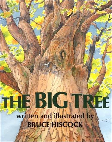 Cover of The big tree