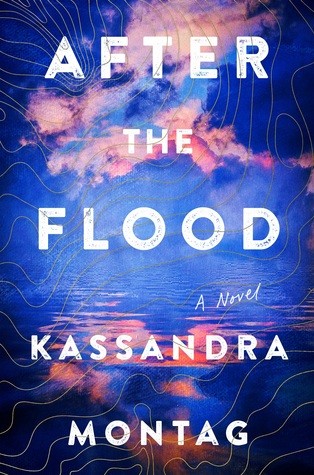 Cover of After the Flood