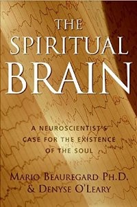 Cover of The spiritual brain