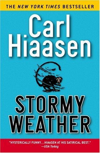 Cover of Stormy weather