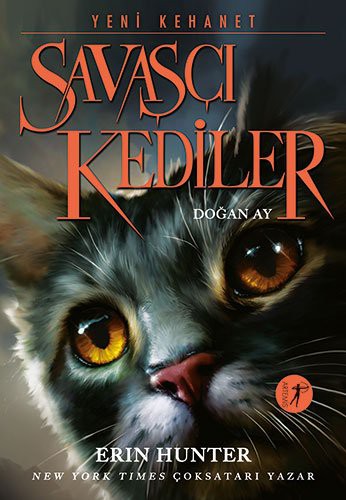 Cover of Moonrise